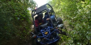 Camicrema en la naturaleza